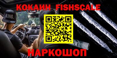 гашик Аргун