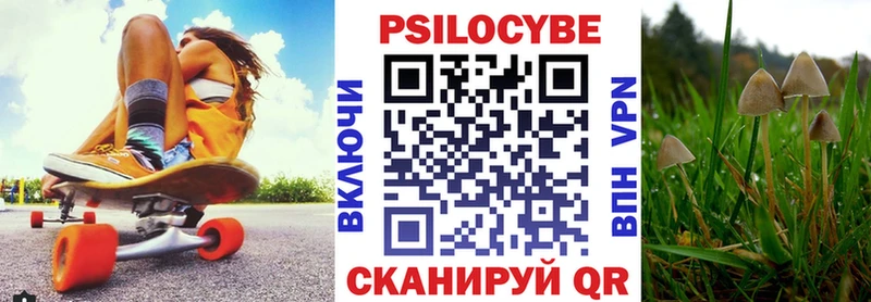 Псилоцибиновые грибы Psilocybine cubensis  Чернушка 