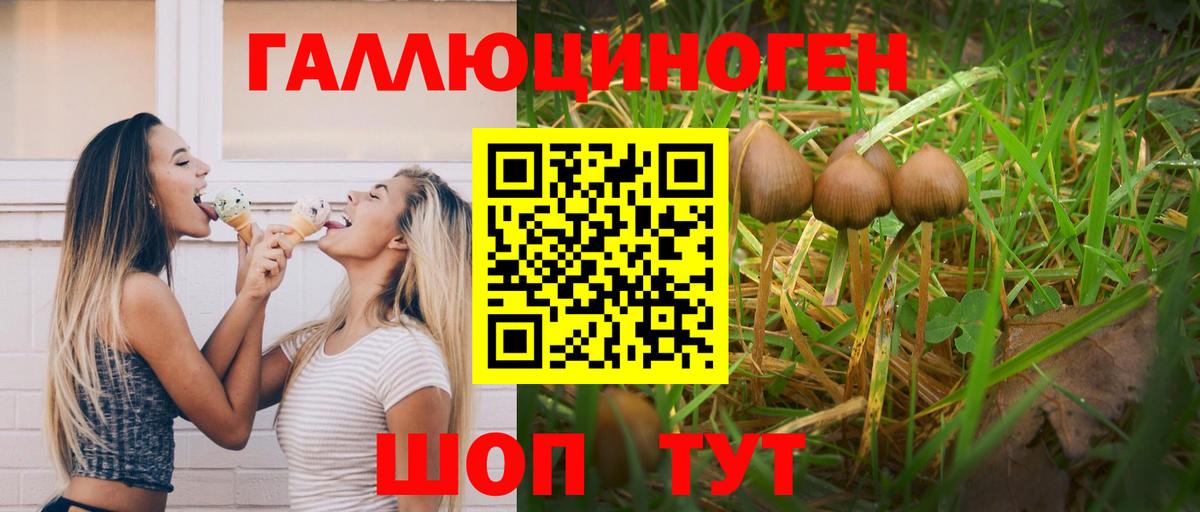 Псилоцибиновые грибы прущие грибы Чернушка