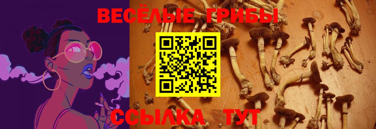 Галлюциногенные грибы Cubensis  где купить наркотик  Чернушка 